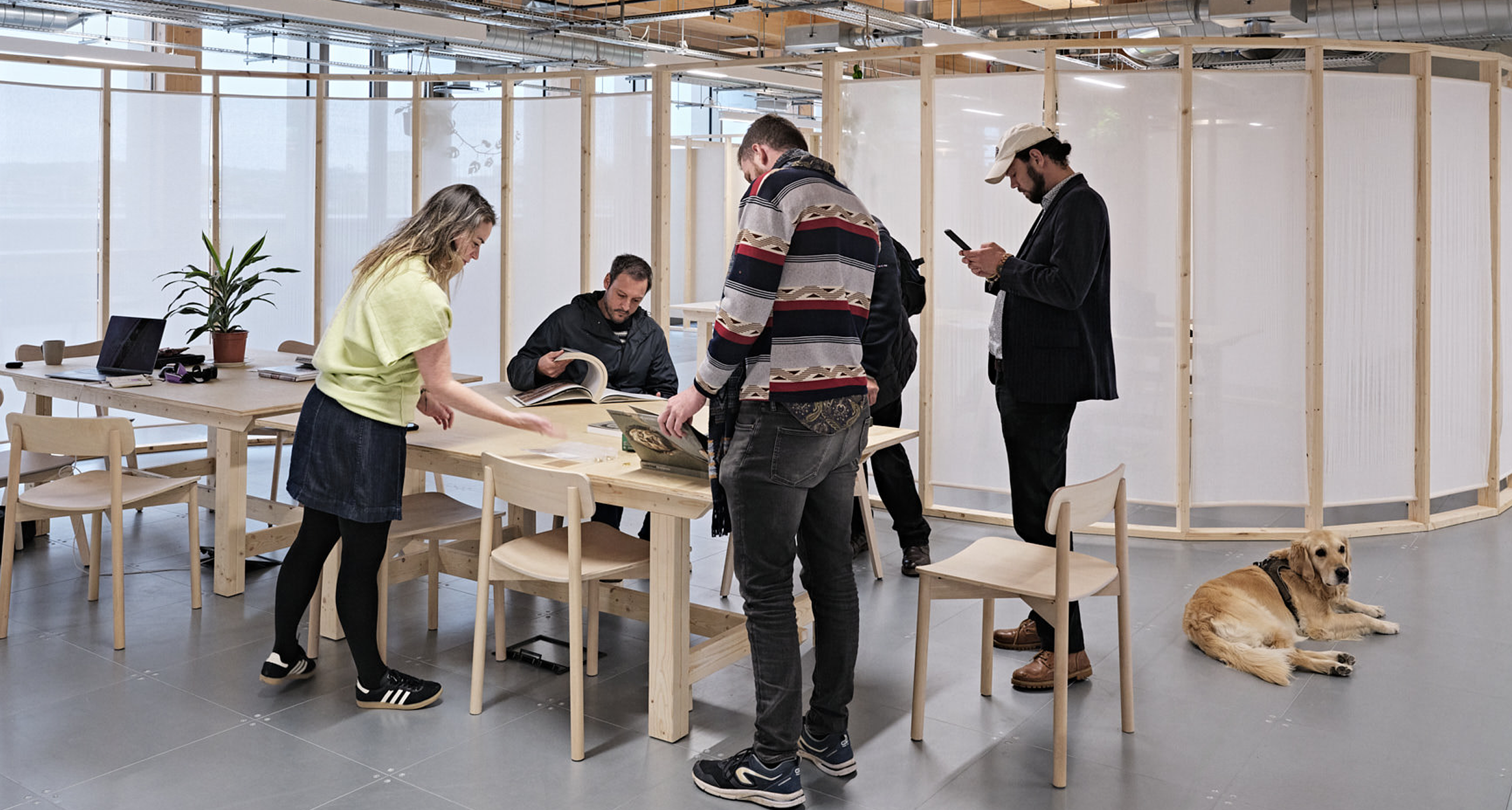 Gramophone_kindred 2